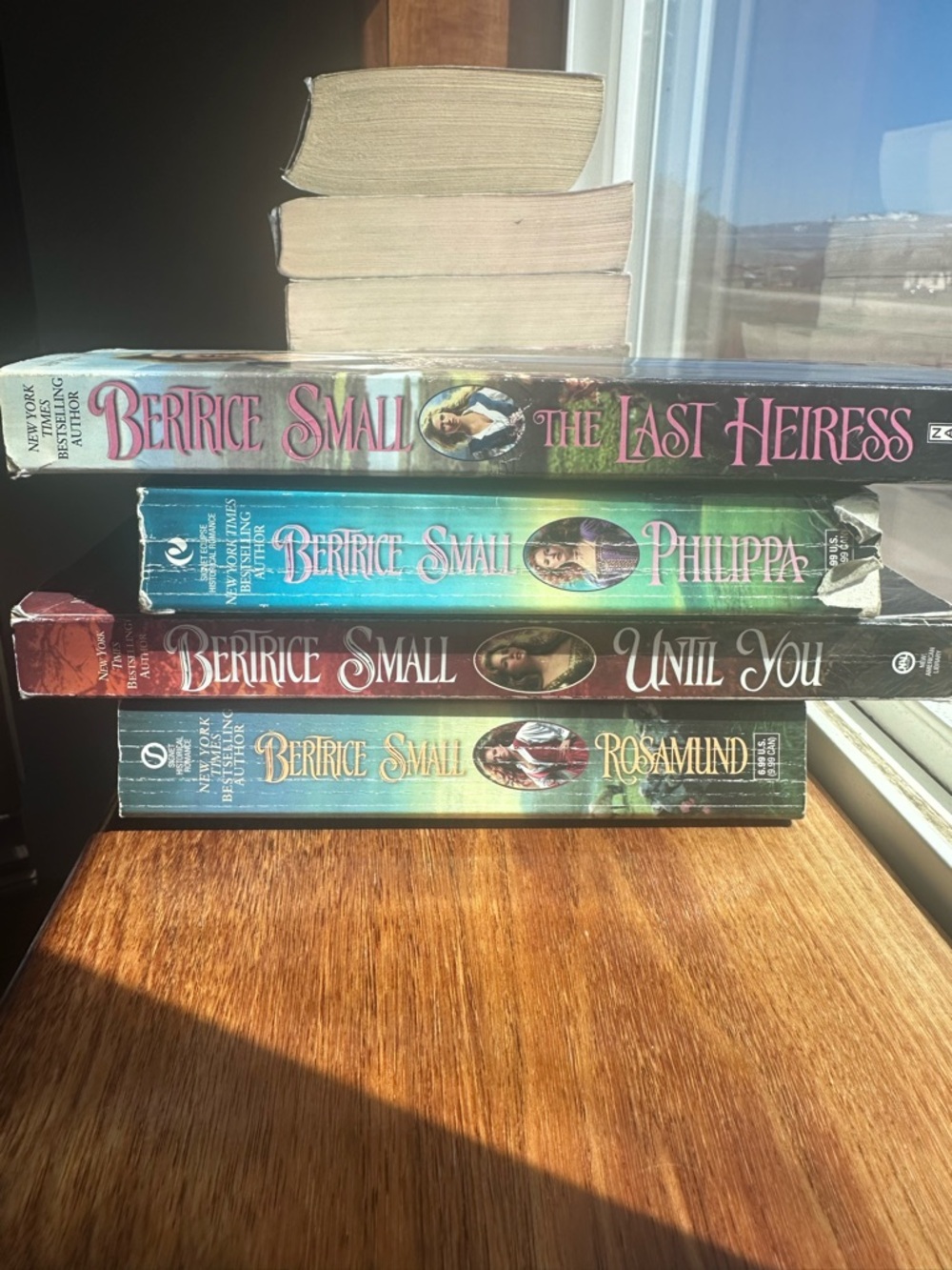 Beatrice Small friarsgate Inheritance Series